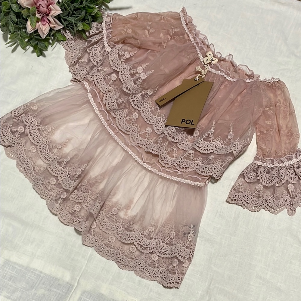 POL Pink Ruffled off the shoulder Lace Sheer Top